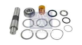 DT Spare Parts 131605 - Juego de pivote de mangueta