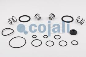 Cojali 6012108 - KIT REPARACION VALVULA