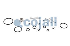 Cojali 6012250 - KIT REPARACION VALVULA