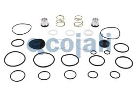 Cojali 6012066 - KIT REPARACION VALVULA