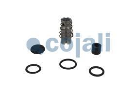 Cojali 6012037 - KIT REPARACION VALVULA