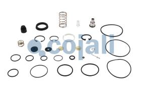 Cojali 6012152 - KIT REPARACION VALVULA