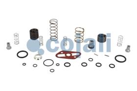 Cojali 6012154 - KIT REPARACION VALVULA