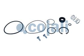 Cojali 6014413 - KIT DE REPARACION VALVULA