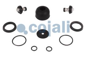 Cojali 6014439 - KIT DE REPARACION VALVULA