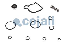 Cojali 6014442 - KIT DE REPARACION VALVULA