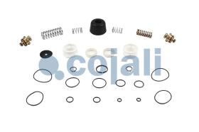 Cojali 6014456 - KIT REPARACION VALVULA