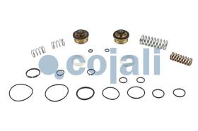 Cojali 6014458 - KIT REPARACION VALVULA