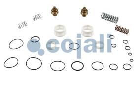 Cojali 6014459 - KIT REPARACION VALVULA