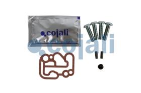 Cojali 6012298 - KIT DE REPARACION VALVULA