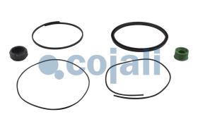 Cojali 6014127 - KIT DE REPARACION PULMON