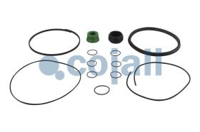 Cojali 6014128 - KIT DE REPARACION PULMON