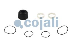 Cojali 6014461 - KIT DE REPARACION VALVULA