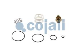 Cojali 6014463 - KIT DE REPARACION VALVULA