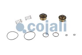 Cojali 6014464 - KIT DE REPARACION VALVULA