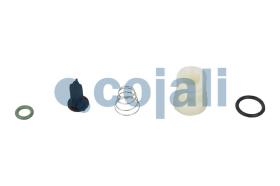 Cojali 6012178 - KIT DE REPARACION VALVULA