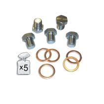 JBM Herramientas 51402 - SET DE REPUESTOS REPARACIÓN CÁRTER M20X1.5P