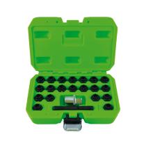 JBM Herramientas 53208 - SET DE TORNILLOS DE SEGURIDAD PARA BMW