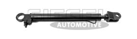 DT Spare Parts SA2C0069 - Cilindro hidráulico elev, cabina