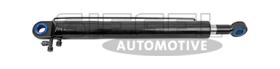 DT Spare Parts SA2C0070 - Cilindro hidráulico elev, cabina