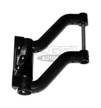 DT Spare Parts SA2I0085 - Brazo del espejo