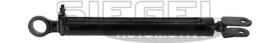 DT Spare Parts SA2C0076 - CILINDRO HIDRáULICO ELEV. CABINA