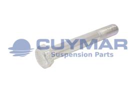 CUYMAR 9602420014010 - TORNILLO 24/200X140 960 10.9