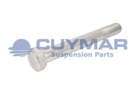 CUYMAR 9602420016010 - TORNILLO 24/200X160 960 C-10