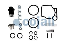 Cojali 6012338 - KIT DE REPARACION VALVULA