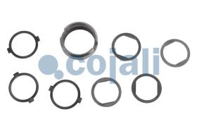 Cojali 6086570 - KIT DE REPARACION PINZA FRENO