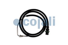 Cojali 2262003 - SENSOR TEMPERATURA GASES ESCAPE