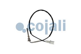 Cojali 2262018 - SENSOR TEMPERATURA GASES ESCAPE