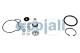 Cojali 6014208 - KIT REPARACION VALVULA