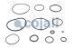 Cojali 6012159 - KIT REPARACION VALVULA
