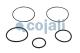Cojali 6012175 - KIT REPARACION VALVULA