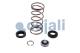 Cojali 6014106 - KIT REPARACION VALVULA