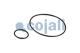Cojali 6014154 - KIT REPARACION VALVULA
