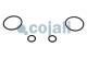 Cojali 6014439 - KIT DE REPARACION VALVULA