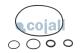 Cojali 6034025 - KIT REPARACION SERVOEMBRAGUE