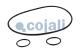 Cojali 6034028 - KIT REPARACION SERVOEMBRAGUE