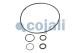 Cojali 6034031 - KIT REPARACION SERVOEMBRAGUE