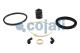 Cojali 6012116 - KIT DE REPARACION PULMON
