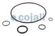 Cojali 6012116 - KIT DE REPARACION PULMON