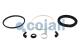 Cojali 6012117 - KIT DE REPARACION PULMON