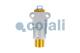 Cojali 2991144 - REGULADOR DE PRESION