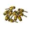 JBM Herramientas 14600 - BOLSA DE 10 OBUSES PARA REF. 53599 - 6X22MM