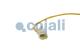 Cojali 2262019 - SENSOR DE TEMPERATURA DE LOS GASES DE ESCAPE DETRÁS DEL CATA